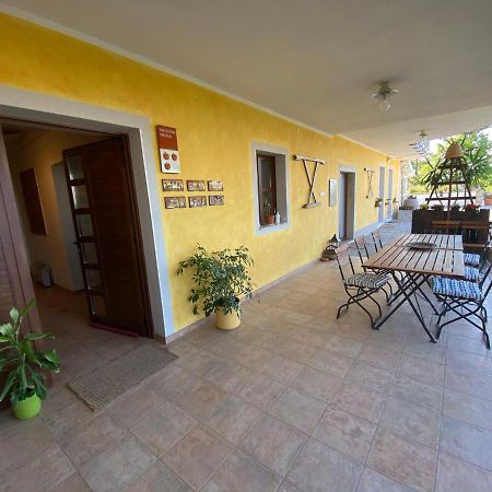 Med Oljkami Apartment Копер Екстер'єр фото